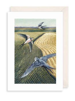 The Art File - Swallows Over Farmland Greetings Card
