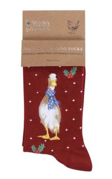 Wrendale - 'Christmas Scarves Duck' Christmas Socks