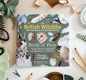 Ferne Creative - British Bird of Prey Educational Colouring Book