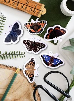 Ferne Creative - British Butterfly Vinyl Sticker Bundle