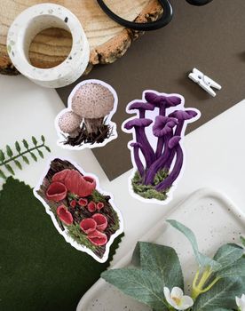 Ferne Creative - Fungi Vinyl Sticker Bundle