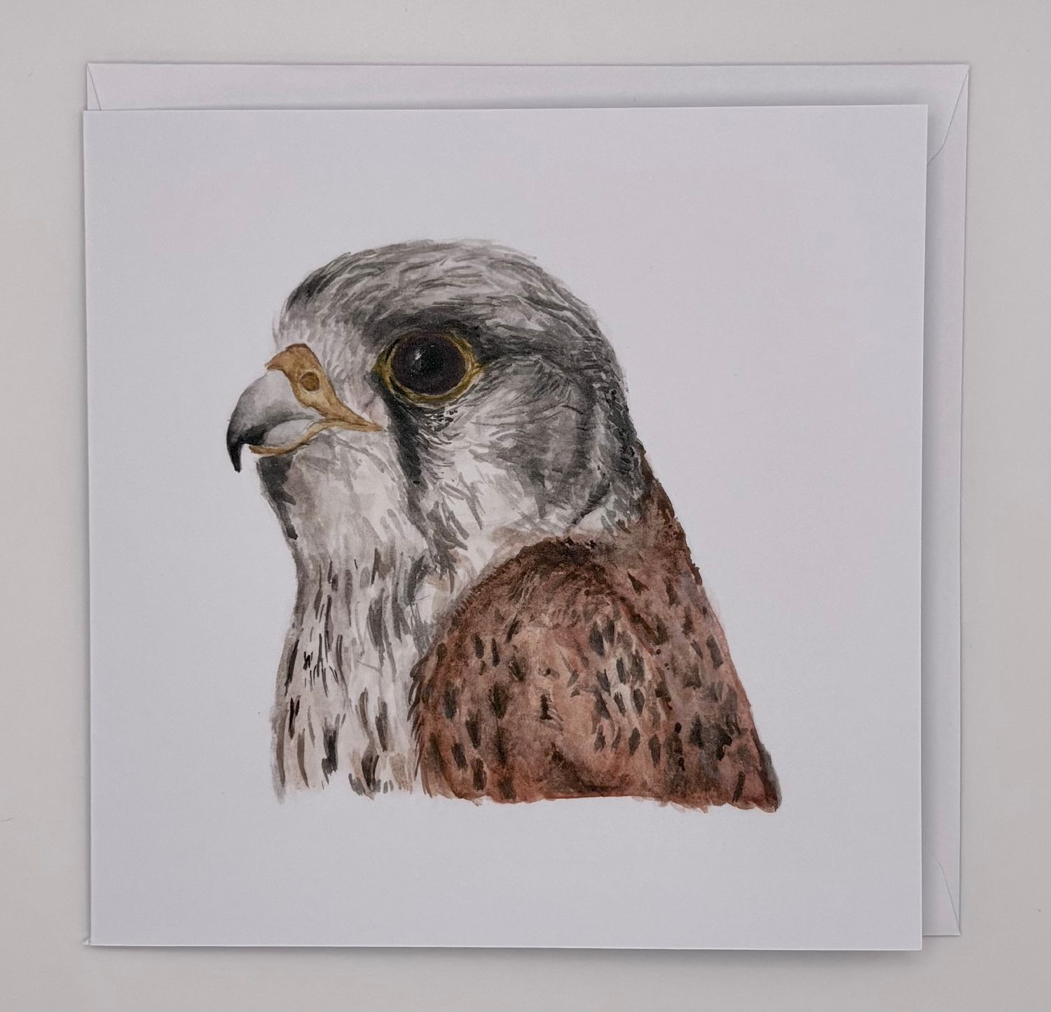 Jake Sexton - Kestrel (Falco tinnunculus) - Greetings Card