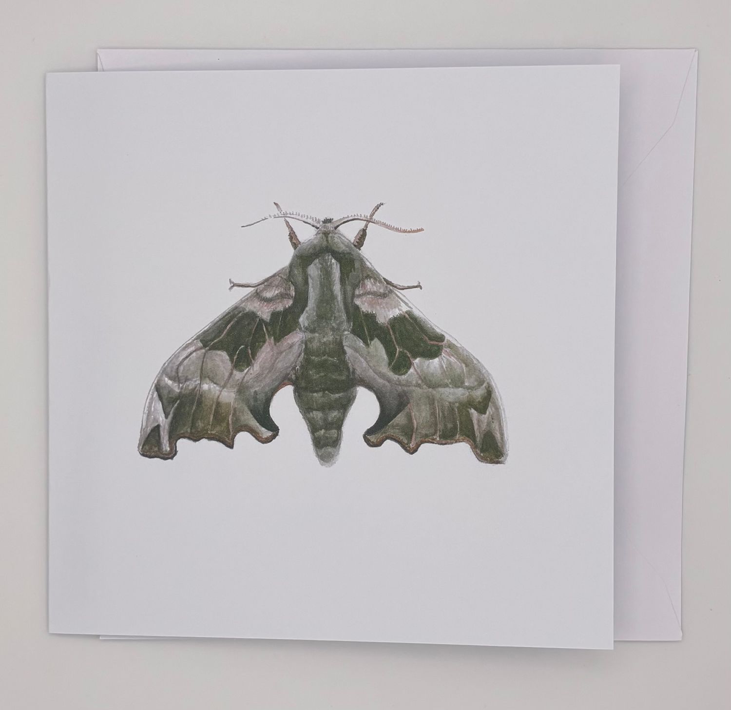 Jake Sexton - Poplar Hawk-moth (Laothoe populi) Greeting Card