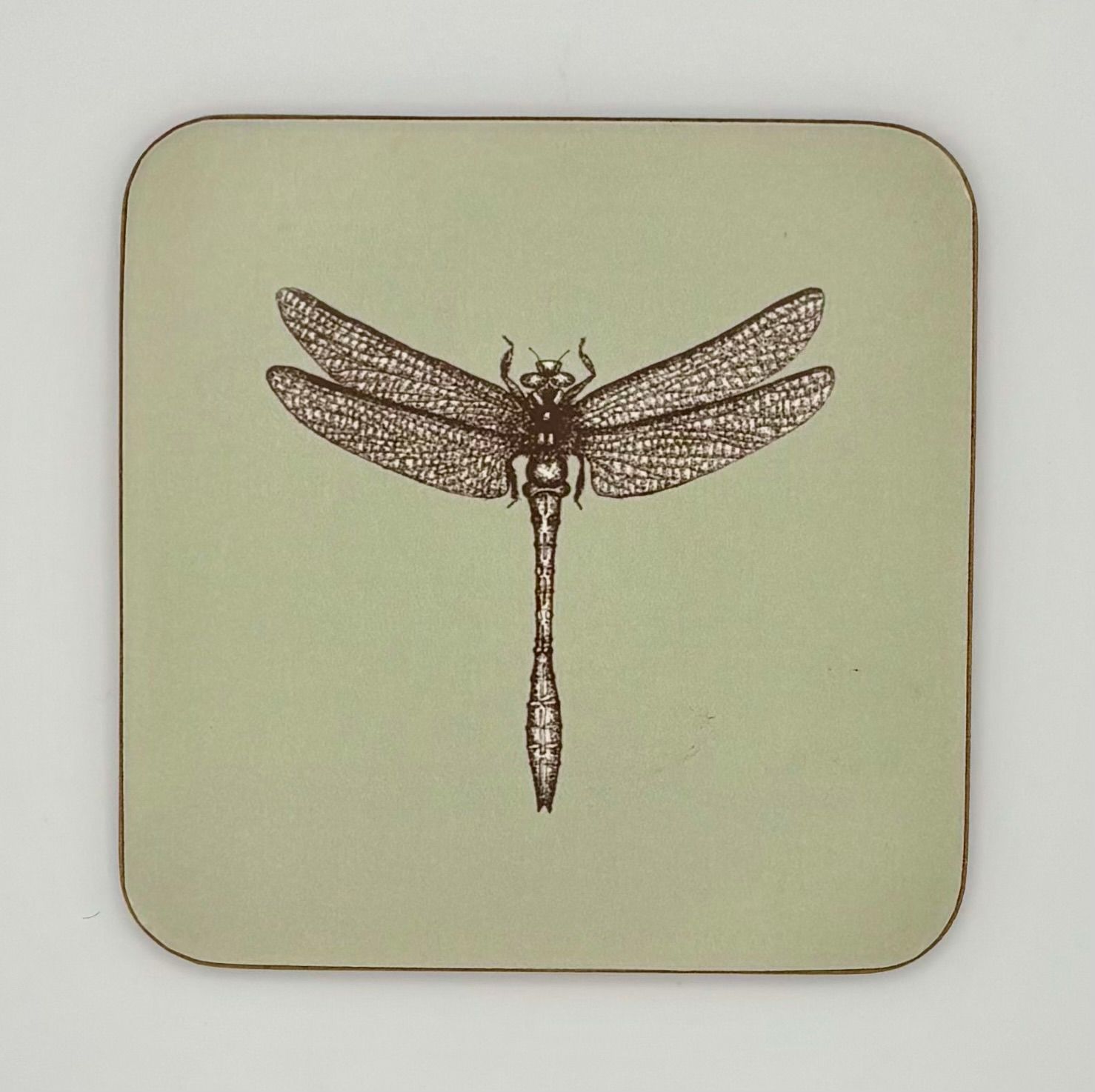 Claire Vaughan - Coaster - Dragonfly