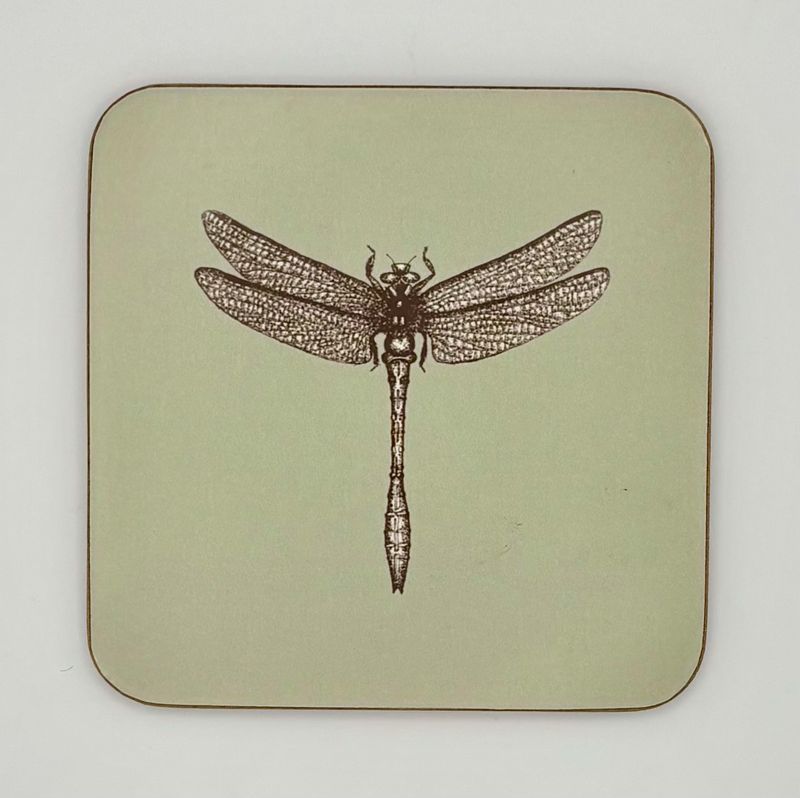 Claire Vaughan - Coaster - Dragonfly