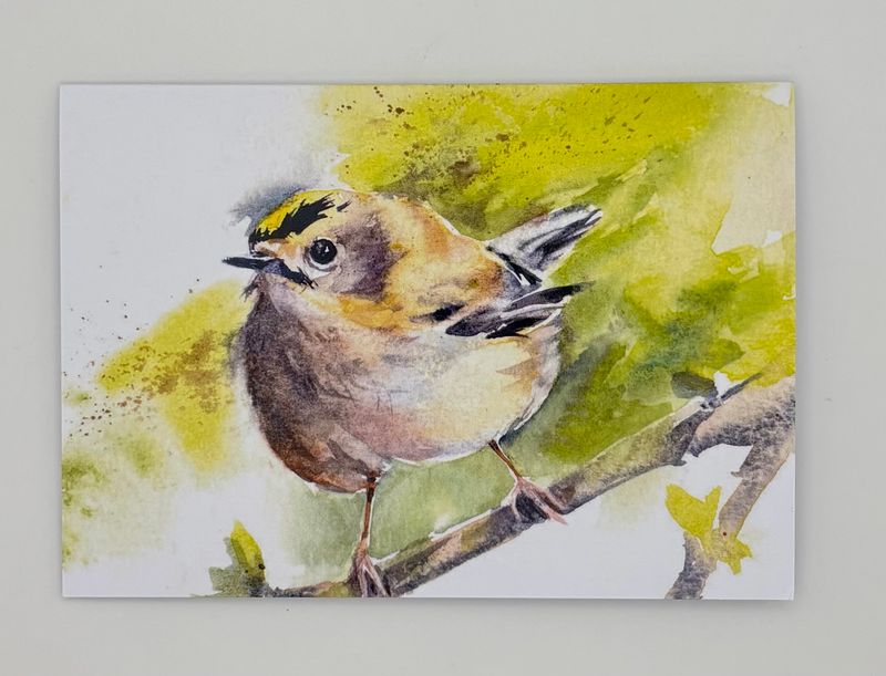 Anjana Cawdell - Goldcrest Card