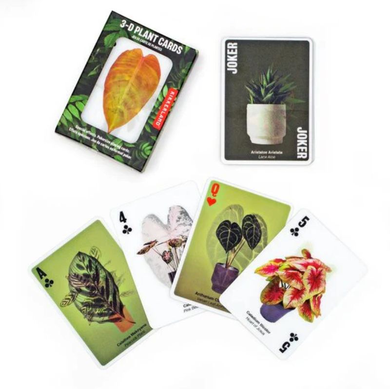 Kikkerland - 3D Plant Cards Game