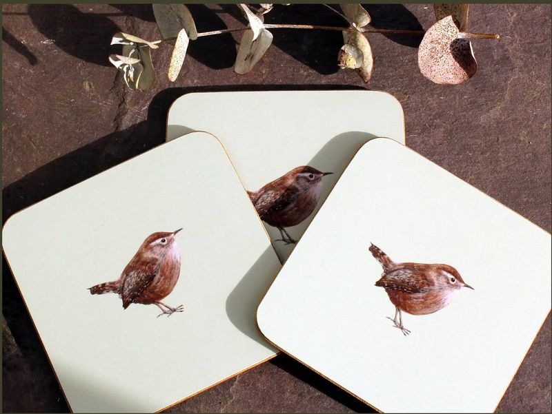 Claire Vaughan - Wren Coaster