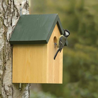 Nest Boxes &amp; Animal Homes