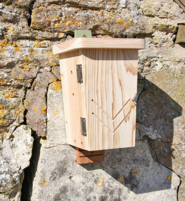 Wildlife World - Original Bat Box