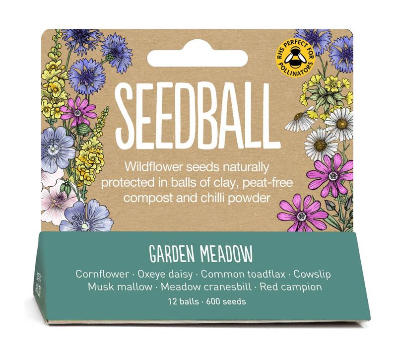 Seedball - Hanging Pack - Garden Meadow Mix