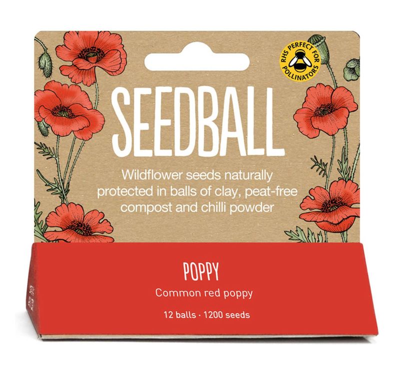 Seedball - Hanging Pack - Poppy