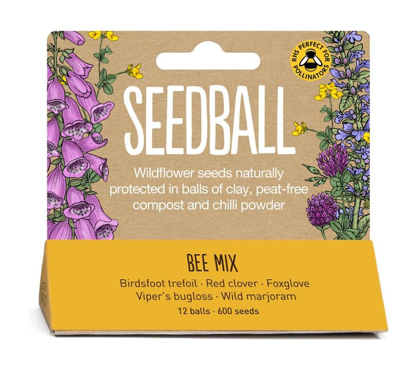 Seedball - Hanging Pack - Bee Mix