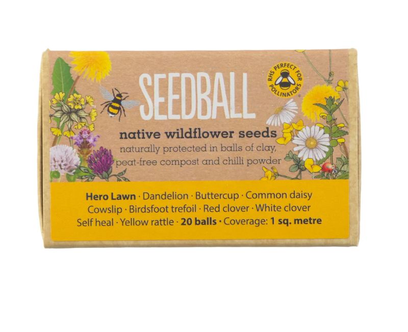 Seedball - Hero Lawn Wildflowers