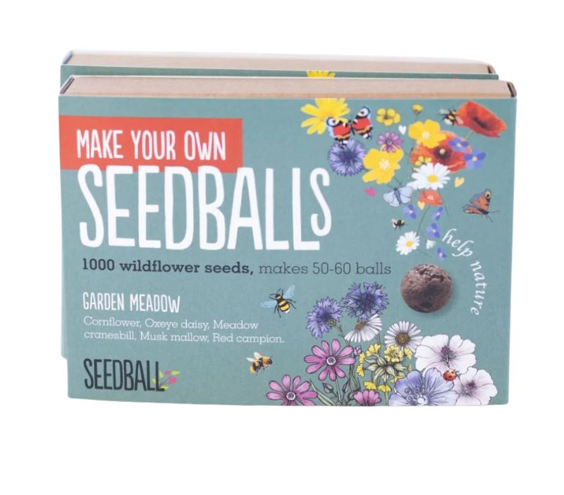 Seedball - Make Your Own Kit - Garden Meadow