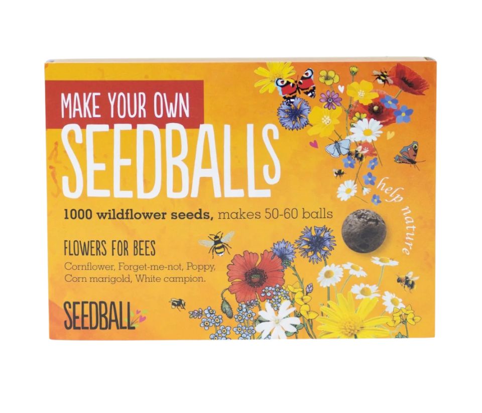 Seedball - Make Your Own Kit - Flowers for Bees