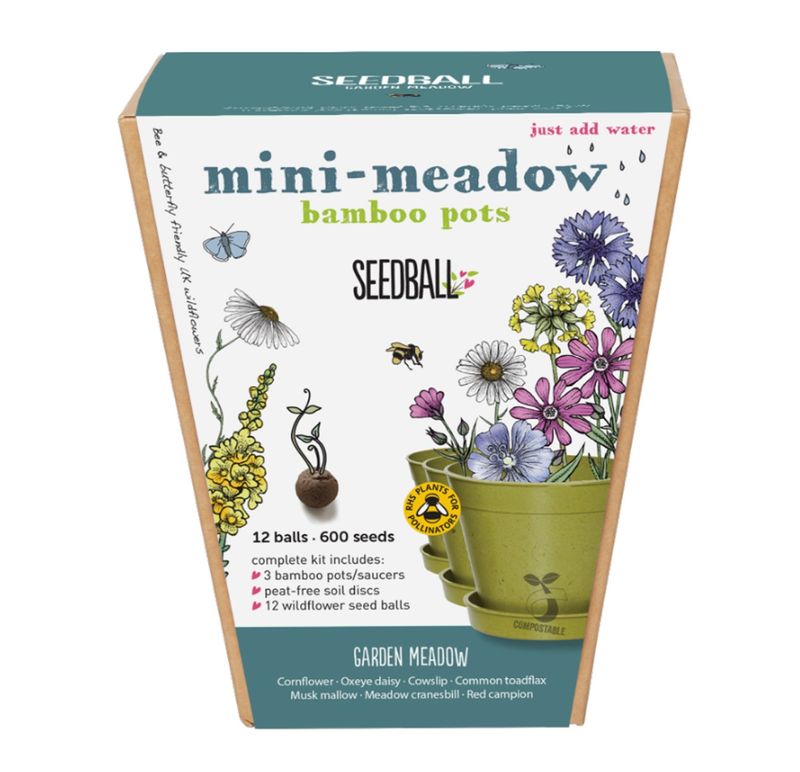 Seedball - Mini Meadow Bamboo Pots - Garden Meadow