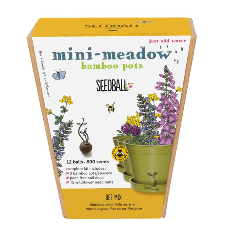 Seedball - Mini Meadow Bamboo Pot - Bee Mix