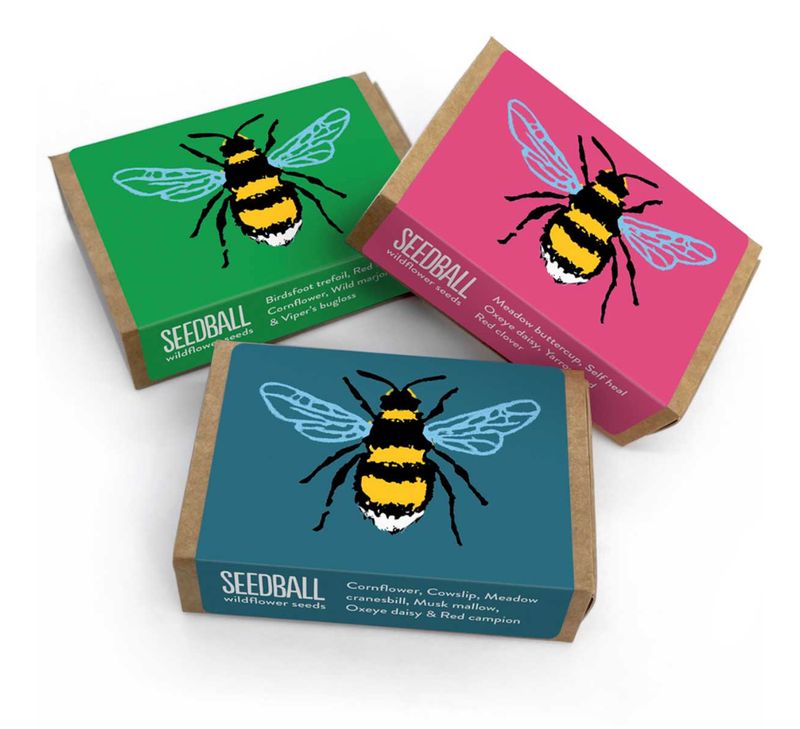 Seedball - Seed Box - Bee Green