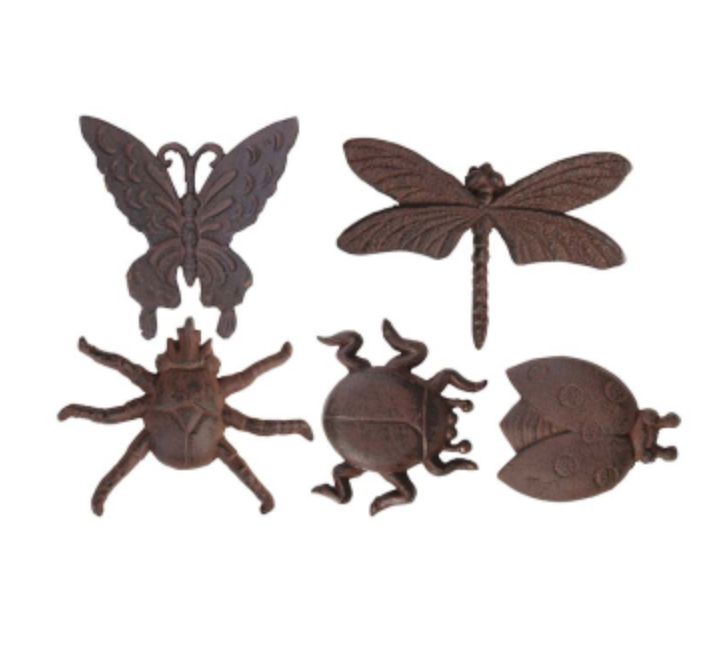Fallen Fruits - Insect Wall Decoration