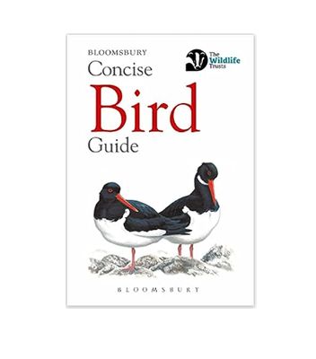 Concise Guide - Bird - Paperback Book
