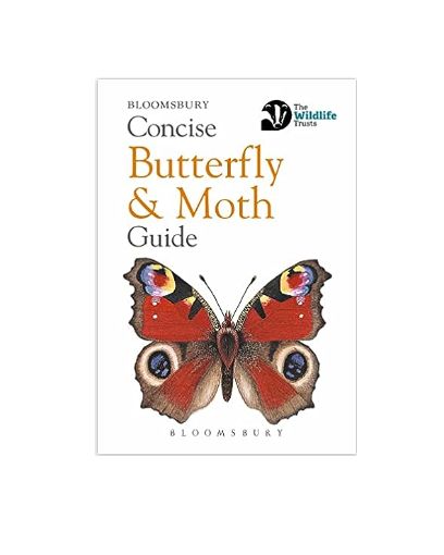 Concise Guide - Butterfly and Moth - Paperback Book
