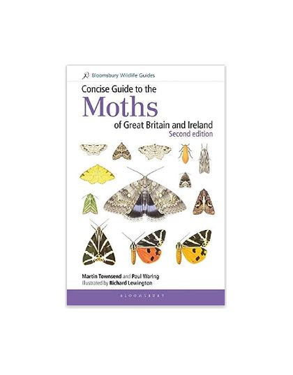 Concise Guide - Moths of Great Britain and Ireland: Second Edition - Paperback Book