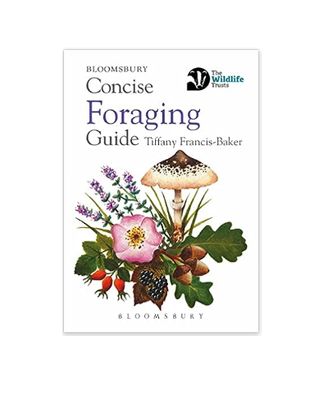 Concise Guide - Foraging - Paperback Book