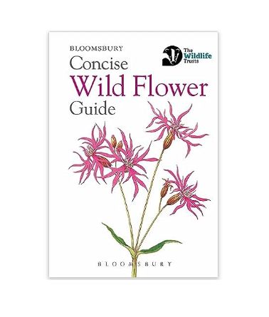 Concise Guide - Wild Flower- Paperback Book