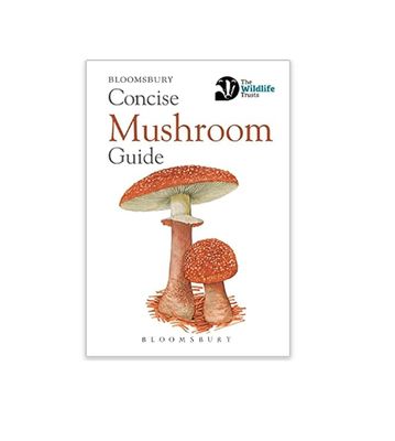 Concise Guide - Mushroom - Paperback Book