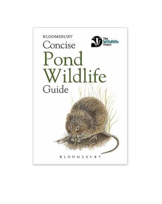Concise Pond Wildlife Guide - Concise Guides (Paperback)