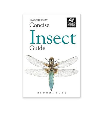 Concise Guide - Insect - Paperback Book