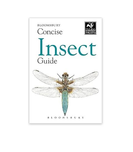 Concise Guide - Insect - Paperback Book