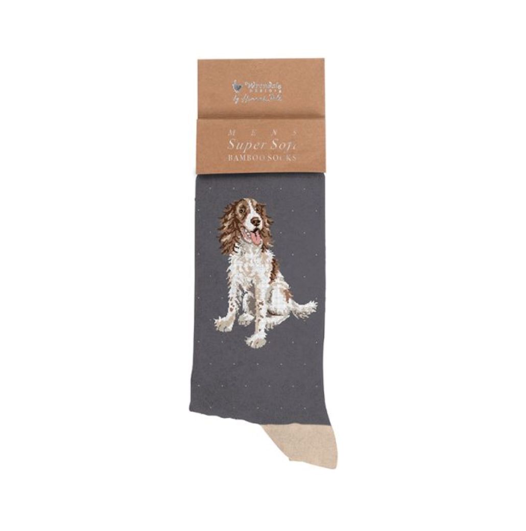 Wrendale  - 'Willow Spaniel' Dog Men's Socks