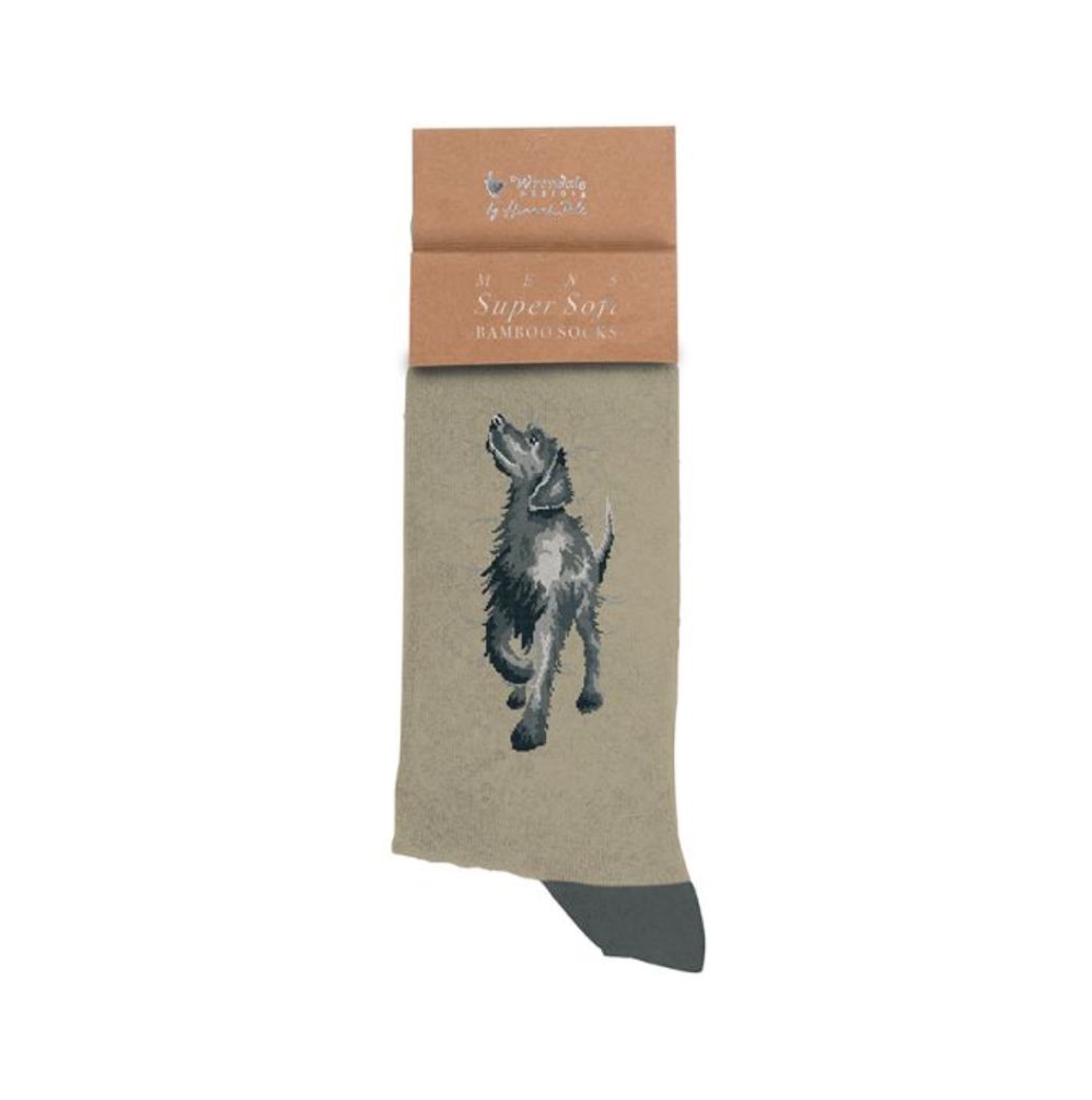 Wrendale - 'Walkies' Dog Men's Socks