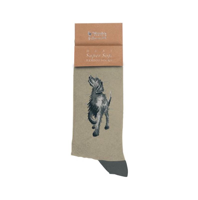Wrendale - 'Walkies' Dog Men's Socks