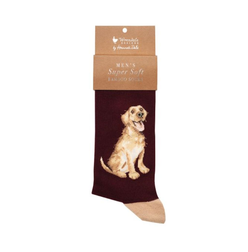 Wrendale Designs - 'Good as Gold' Golden Labrador Socks - Men's