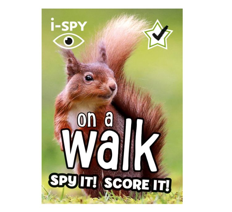 i-Spy On a Walk - Paperback Book