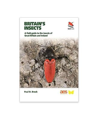 Britain's Insects: A Field Guide to the Insects of Great Britain and Ireland - WILDGuides - Paperback Book