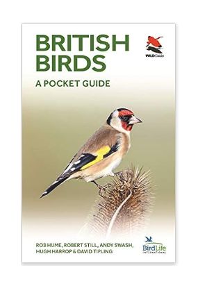 British &amp; Irish Birds: A Pocket Guide - Paperback Book