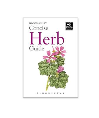 Concise Guide - Herb - Paperback Book