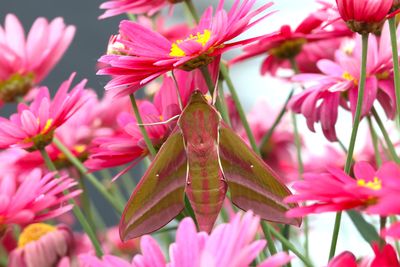 Wildlife &amp; Garden