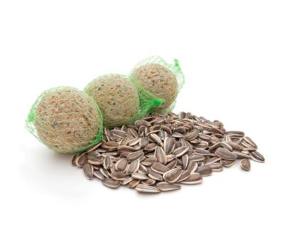 Wildlife Food