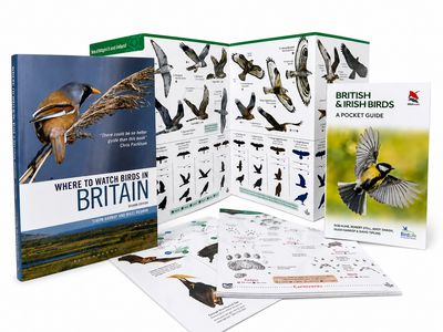 Field Guides &amp; Bird Books
