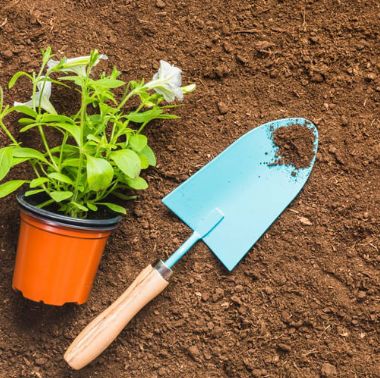 Gardening &amp; Accessories