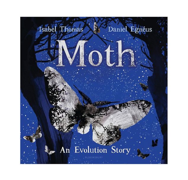 Moth - An Evolution Story - Paperback Book