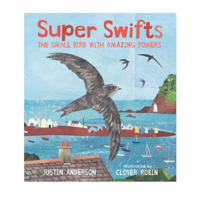 Super Swifts: The Small Bird with Amazing Powers - Paperback Book
