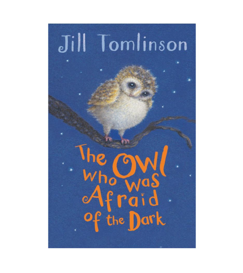 The Owl Who Was Afraid Of The Dark - Paperback Book