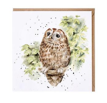 Wrendale - 'Treetops' Owl Card