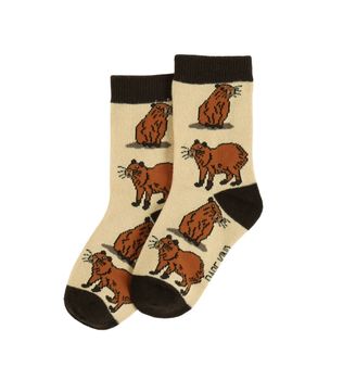 Bare Kind - Capybara Socks - Age 2-3yrs